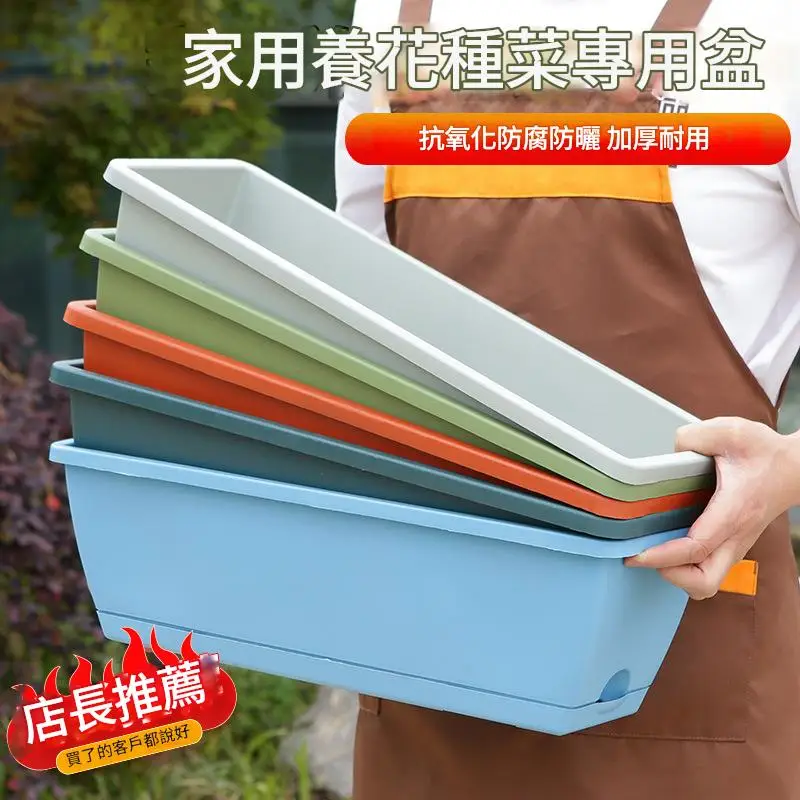 種菜花盆，專為小空間設計，陽台、窗邊都能種，大小適中不占位，在家種出新鮮菜